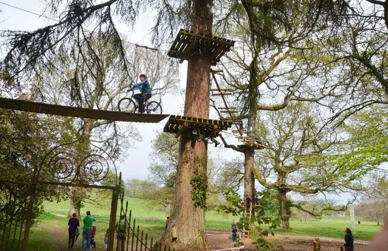 Lough Key Forest Zip It Adventure